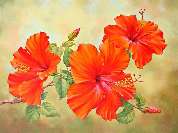 Fleurs de Marianne Broome.