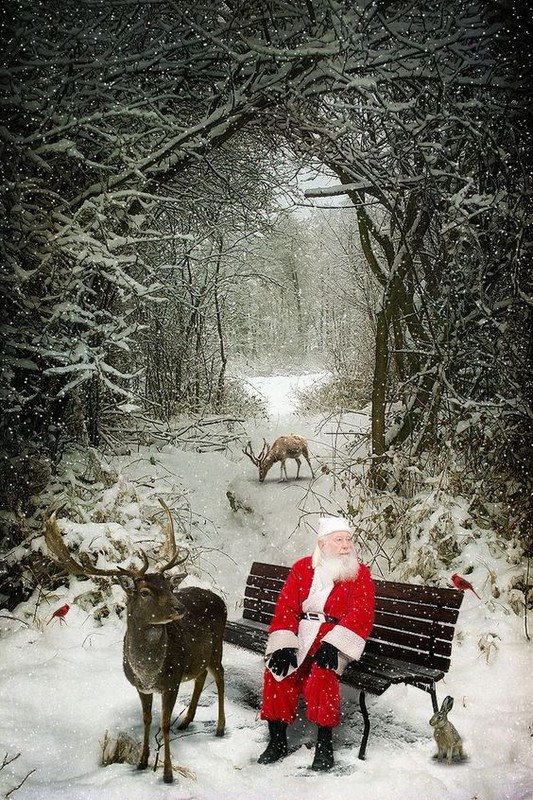 Belles illustrations et images de Noël