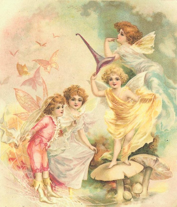 Illustration fées et elfes