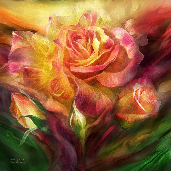 Fleurs de Carol Cavalaris