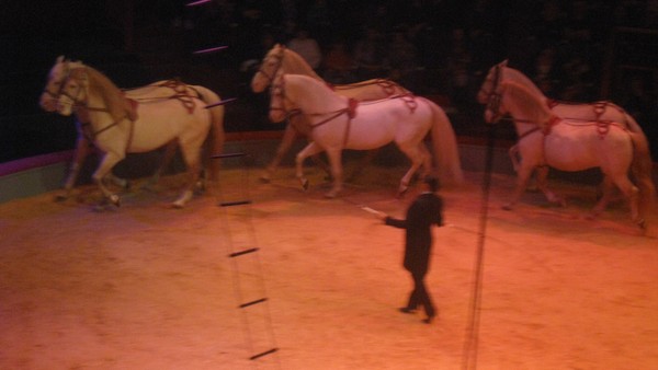 Amiens-Le cirque Arlette Gruss