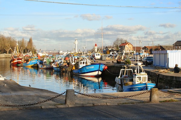 Plage de Basse Normandie (Calvados)