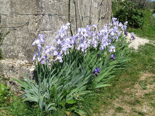 Paysages -Printemps -Eté