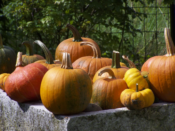 Couleurs et parfums d'Automne