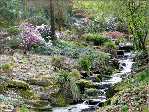 Paysages -Printemps -Eté