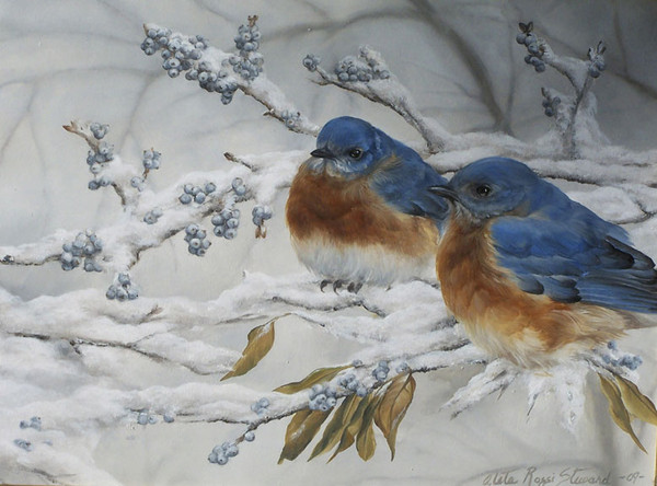 Superbes peintures d'oiseaux