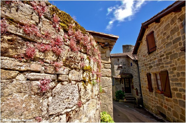 Beau village Cardaillac