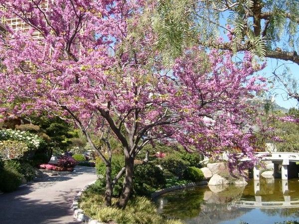 Paysages - Printemps-Eté