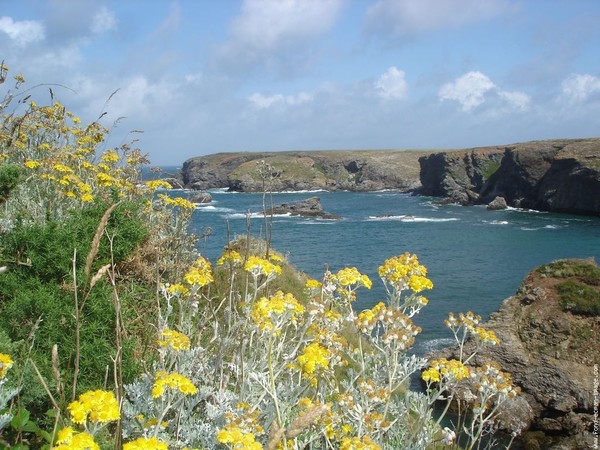 Paysages -Printemps -Eté