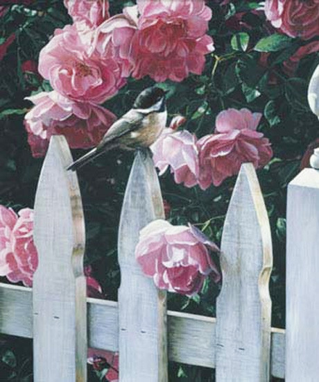 Superbes peintures d'oiseaux