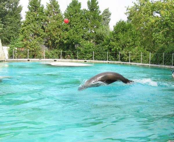 Zoo d'Amiens -2012