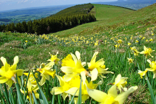 Paysages -Printemps -Eté