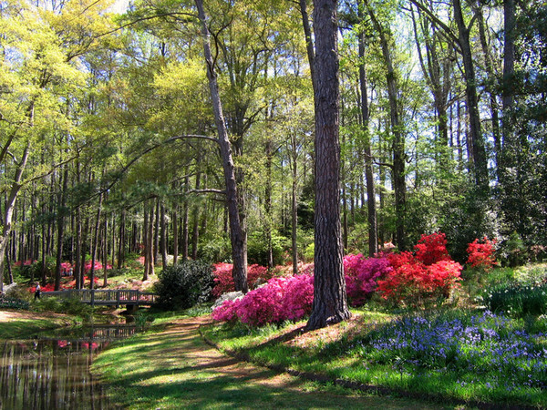 Parc fleuri 