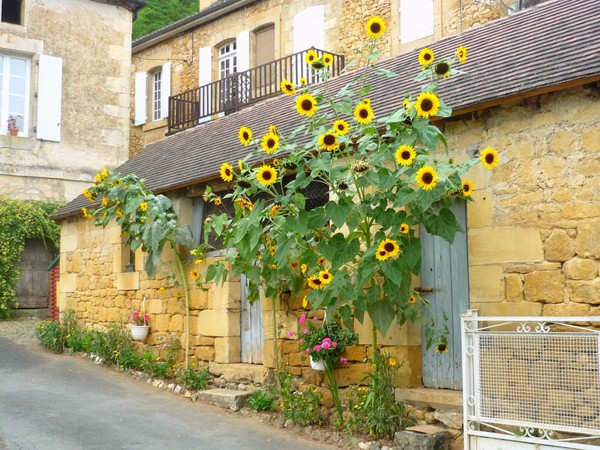 Beau village de Castelnaud-la-Chapelle