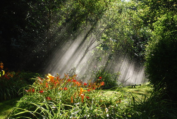 Paysages -Printemps -Eté