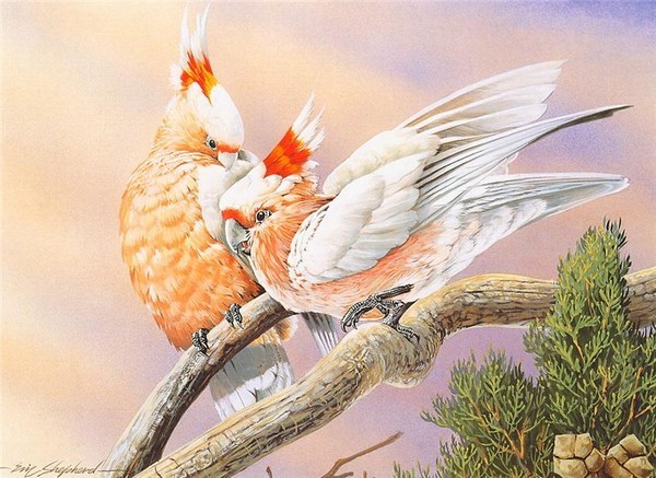 Superbe peinture d'oiseaux