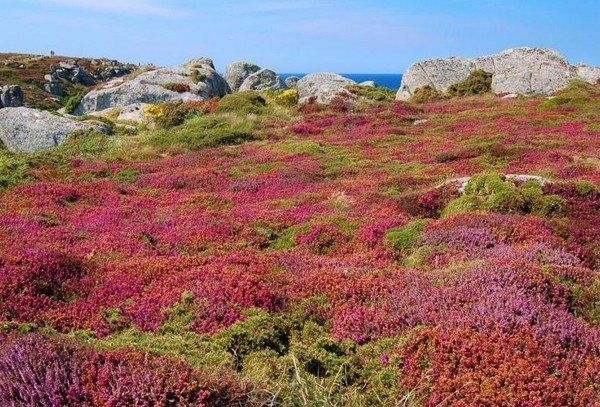 Paysages -Printemps -Eté