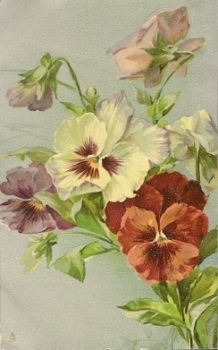 Carte ancienne (fleurs)