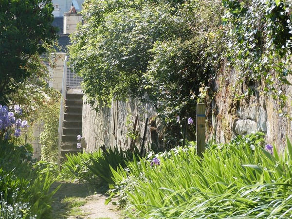 Beau village de Montsoreau