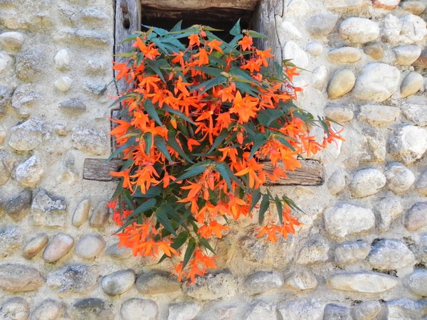 Beau village de Pérouges