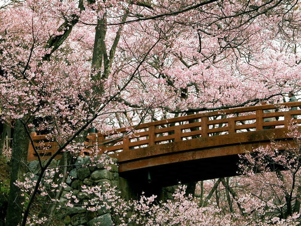 Paysages -Printemps -Eté