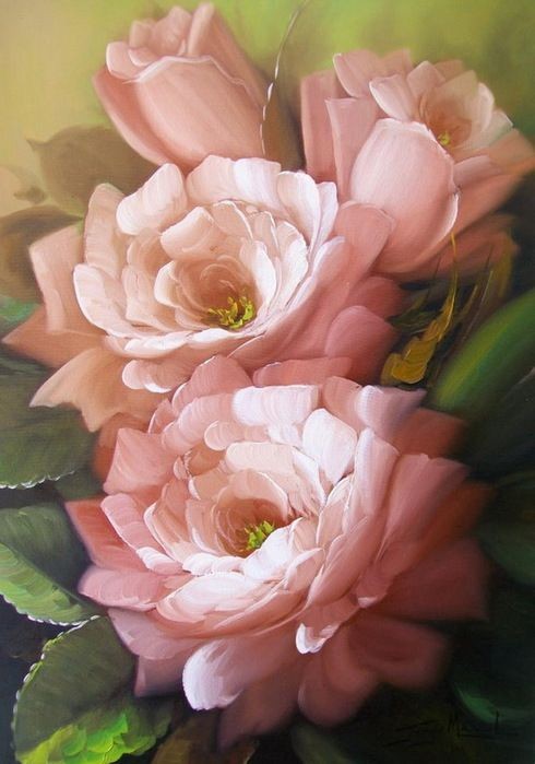 Fleurs de Jorge Maciel