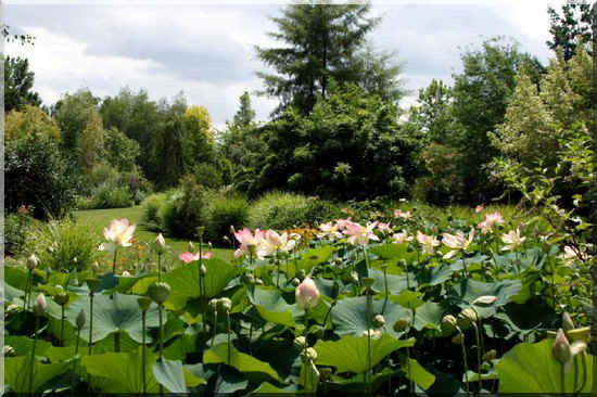 Paysages -Printemps -Eté