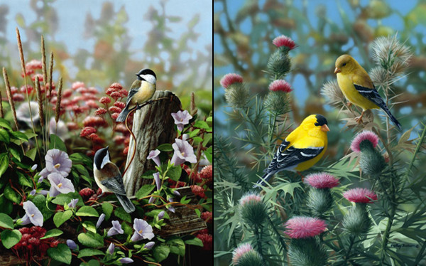 Superbe peinture d'oiseaux de Bradley Jackson