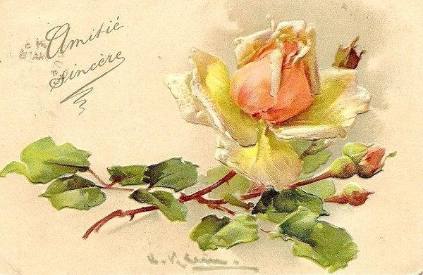 Carte ancienne de fleur 