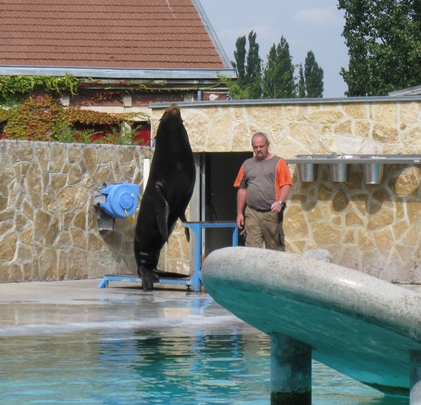 Zoo d'Amiens -2012