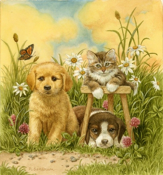 Belle image de chiens et chats