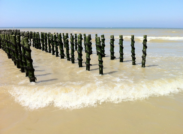 Plage de Picardie