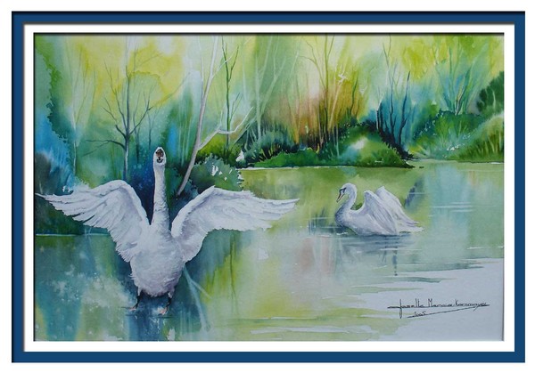 Superbes peintures d'oiseaux