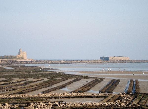 Plage de Basse Normandie (Manche)