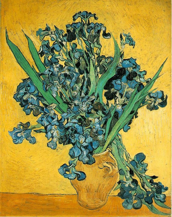 Peintre célèbre- Vincent Van Gogh