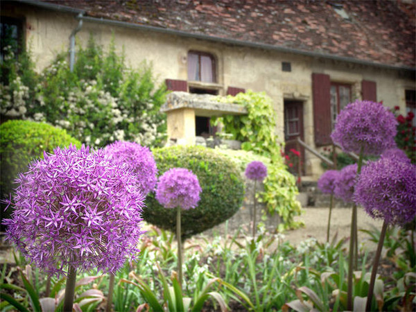 Beau village d'Apremont-sur-Allier