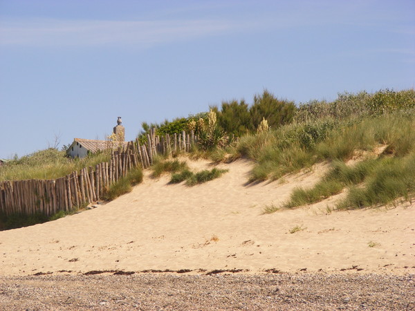 Plage de Basse Normandie (Manche)