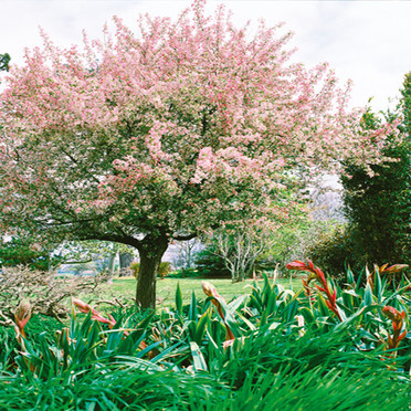 Paysages -Printemps -Eté