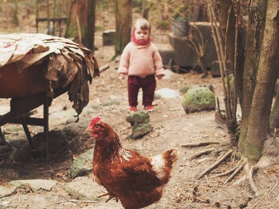 Le temps de l'innocence