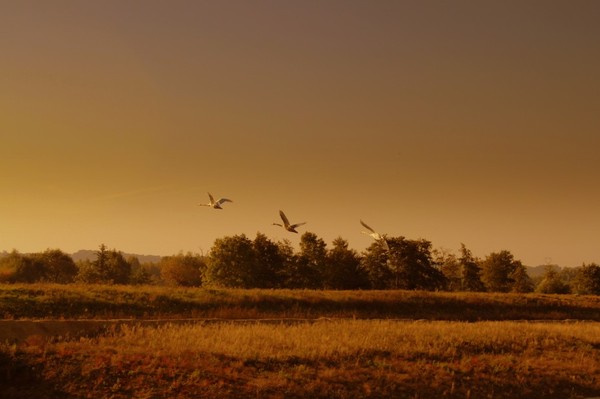 Paysages d'automne