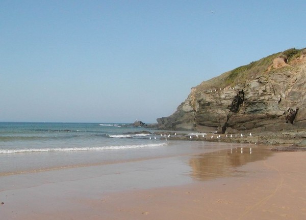 Plage de Basse Normandie (Manche)