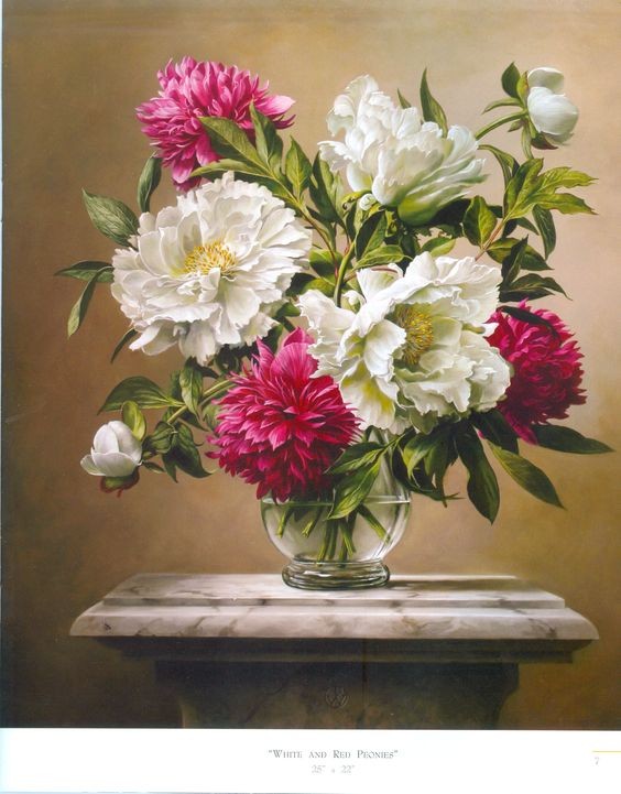 Fleurs de Pieter Wagemans