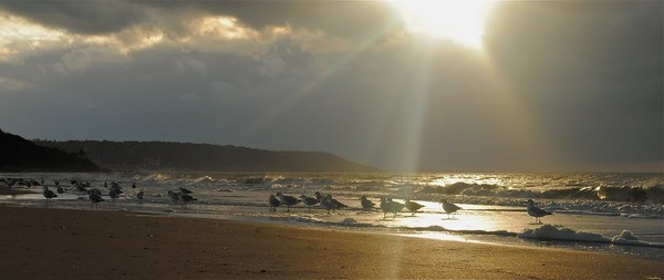 Plage de Basse Normandie (Calvados)