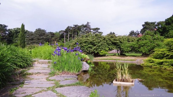 Parc  au printemps