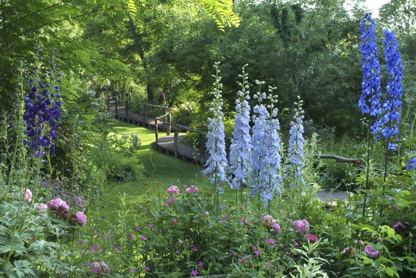 Parc   fleuri