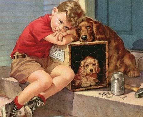  Image -L'enfant et  les chiens