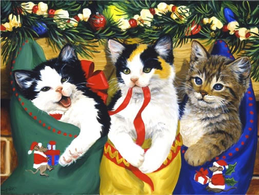 Chatons de Noël