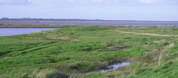 Plage de Basse Normandie (Manche)