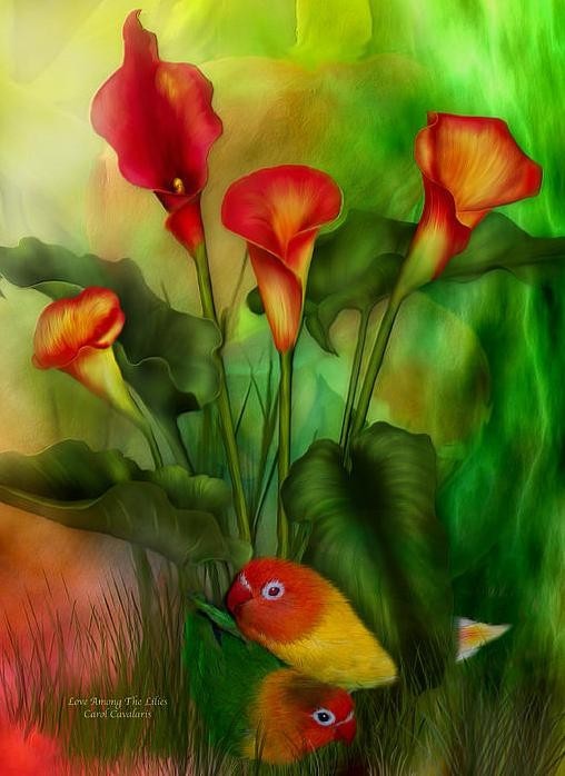 Fleurs de Carol Cavalaris