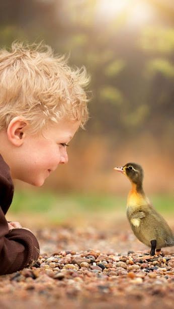 Le temps de l'innocence